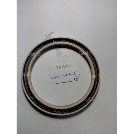 ซีลกันน้ำมัน KACO-100x124x10.5/12.5-DGS_SILICONE