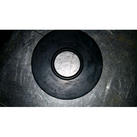 KACO Wiper Seal 6x22x7.5/9 QHWA/VGFU01 NBR