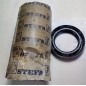 ซีลกันน้ำมัน TRELLEBORG/STEFA-40x58x12-BB_NBR