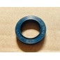 DPH Oil Seal 20x30x5/5.5 GBP NBR