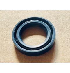 OIL SEAL DPH-20x30x6-GBP_NBR