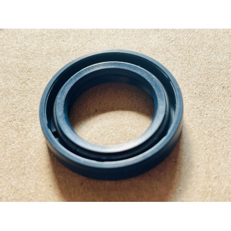 OIL SEAL DPH-20x30x6-GBP_NBR