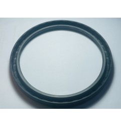 OIL SEAL DICHTA-127X152.4X12.7-AS_NBR