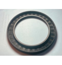 OIL SEAL FP-100X140X13-G_NBR