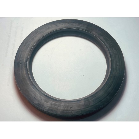 OIL SEAL FP-100X140X13-G_NBR