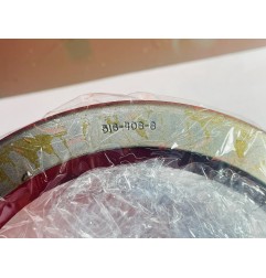 OIL SEAL TROSTEL-4.125X5.250X0.563-M/L_LEATHER