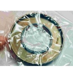 NBR oil seal with garter spring