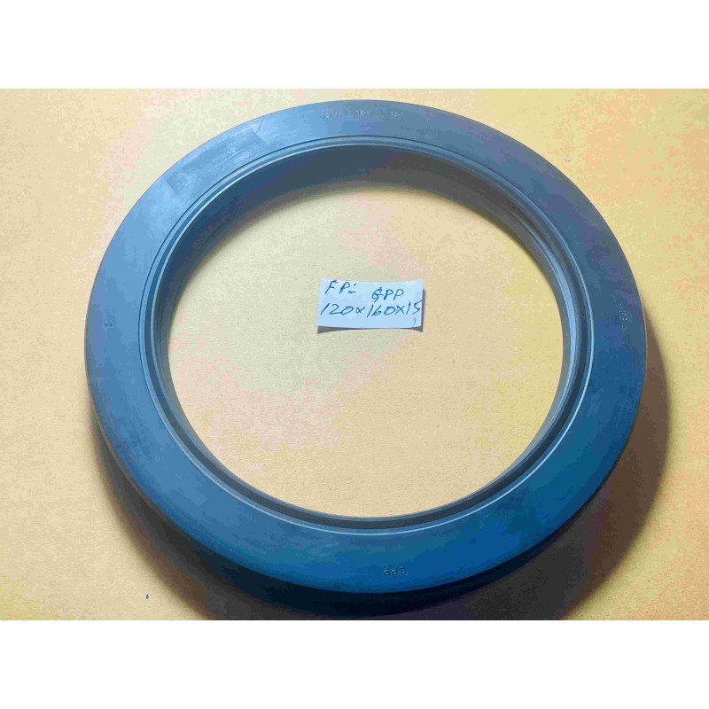 OIL SEAL FP 120X160X15 GPP NBR Price | Heavy-Duty Double Protection Rotary Shaft Seal for Industrial Gearbox & Pump Applications OIL SEAL FP 120X160X15 GPP NBR Price | Heavy-Duty Double Protection Rotary Shaft Seal for Industrial Gearbox & Pump Applications
