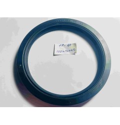 FP Oil Seal 100x120x12 GP NBR