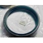 OIL SEAL TROSTEL 4.750X6.313X1.250 M/R NBR Price | Heavy Duty Metal Case Rotary Shaft Seal for Industrial Gearboxes & Pumps