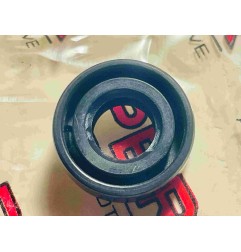 PBR TC Oil Seal