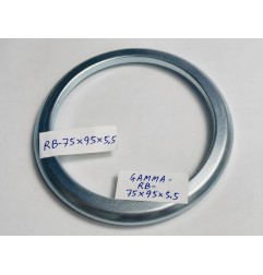 AKRON Gamma Seal RB-75 75x95x5.5 RB NBR