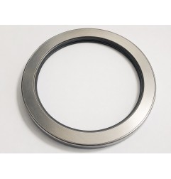 Large Bearing Housing Seal