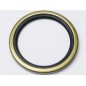 OIL SEAL DICHTA 101.6x127x12.7 LGSP NBR Price | Metric Rotary Shaft Seal for Bearings, Gearboxes, Pumps & Industrial Machinery OIL SEAL DICHTA 101.6x127x12.7 LGSP NBR Price | Metric Rotary Shaft Seal for Bearings, Gearboxes, Pumps & Industrial Machinery