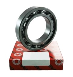 FAG 6405 Ball Bearing