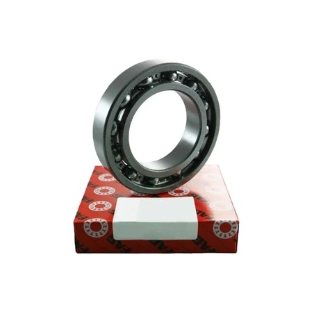 FAG 6405 Ball Bearing