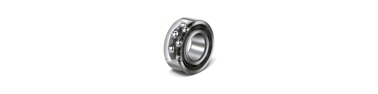 DOUBLE ROW ANGULAR CONTACT BEARING